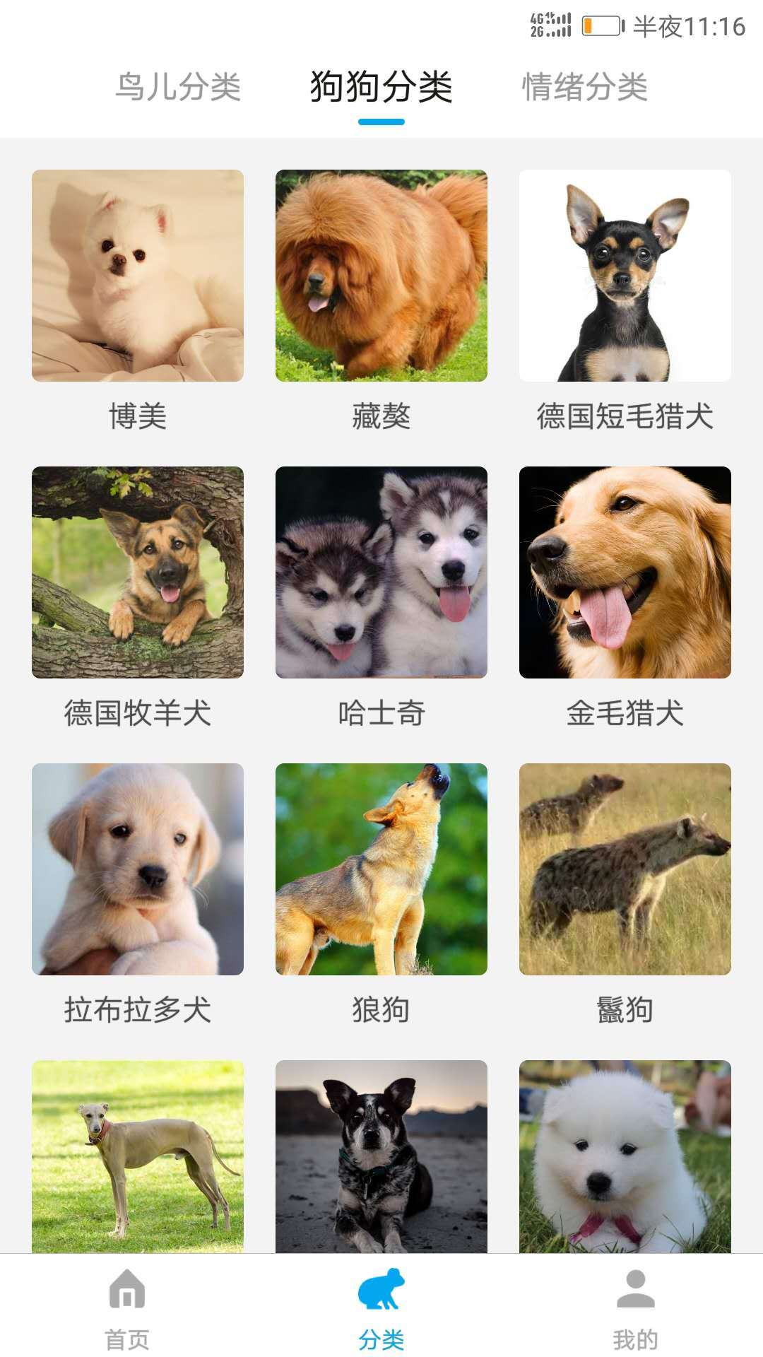 动物翻译器官方正版