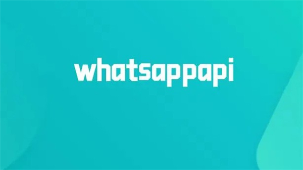 手机whatsapp怎么加好友
